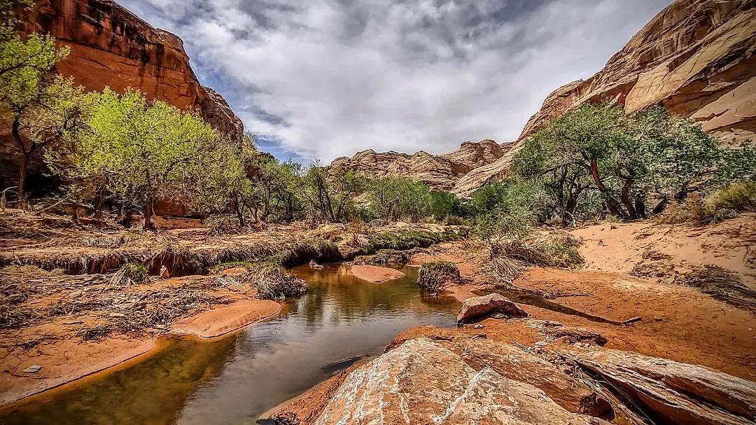 Canyonlands National Park Full Day Sightseeing or Hiking Tour
