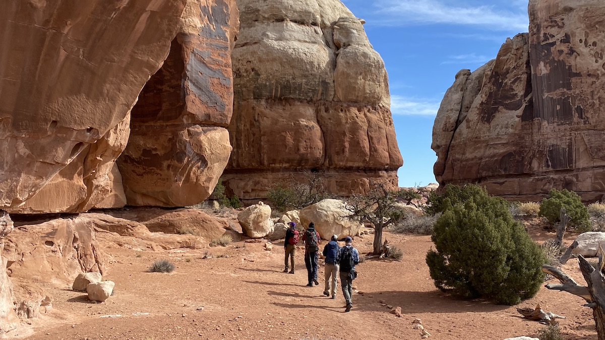 Canyonlands Needles District Full Day Private Sightseeing or Hiking Tour